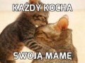 Każdy kocha