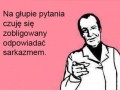 Głupie pytanie