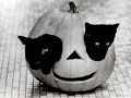 Haloween
