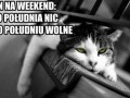 Plan na weekend