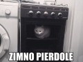 Zimno