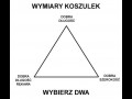Wymiary koszulek takie są