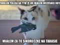 Sikoreczka