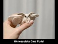Ćma pudel