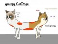 Grumpy catdoge