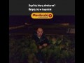 Skąd się biorą dresiarze