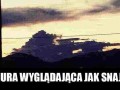 Snajper