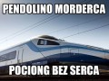 Pendolino morderca