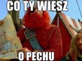 Co ty wiesz