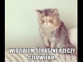 Widziałem straszne rzeczy