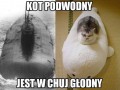 Kot podwodny