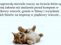 Jest niewiele mniej żałosnych rzeczy na świecie niż