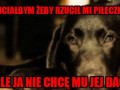 Piłeczka