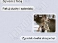 Zgredek