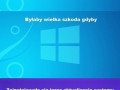 Typowy windows