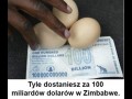 No to się obłowią