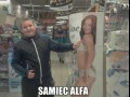 Samiec