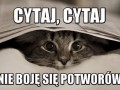Cytaj cytaj