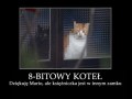 Koteł 8bit