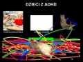 Adhd