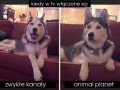 Kiedy w tv włączone są