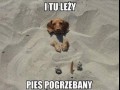 Takie pogrzebanie to ja rozumiem