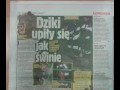 Łamiąca Wieść
