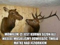 Jelenie