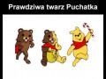 Puchatek