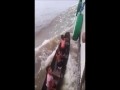 Piraci atakują!