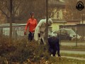 Dziadek z atakiem serca - uliczny wkręt