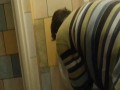 Picie wody z pisuaru