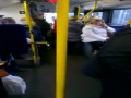Agresywne kanary w akcji - Wejście rudego smoka - Władcy autobusu