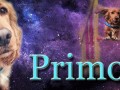 baner na strone