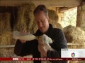 David Cameron karmi baranka, który został odrzucony