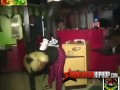 Jamaican Dancing