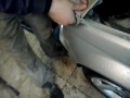 Janusze biznesu sprzedają BMW