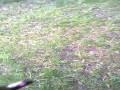 Policja usiłuje wcisnąć mandat za pustą butelkę!