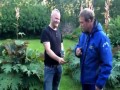 Alkohol i trampolina nie idą w parze