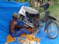 Kukurydza
