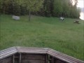 Pierwszy raz na quadzie