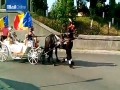 Luksusowe wesele