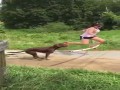 No to hop