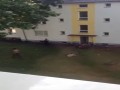 Imigranci tłuką szyby w mieszkaniach