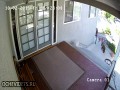 Intruzi na posesji