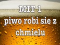 7 MITÓW NA TEMAT PIWA
