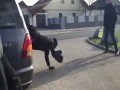 Kamerzysta ninja
