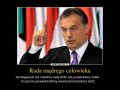 Uczmy się od najlepszego sortu