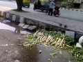W Indiach mycie warzyw w przydrożnej kanalizacji