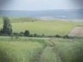 Rozmowa z polskim dżihadystą Adrianem Al N. Zginiecie jak wszyscy niewierni